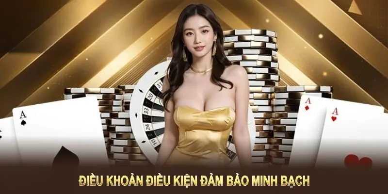 Điều khoản sử dụng và vai trò then chốt