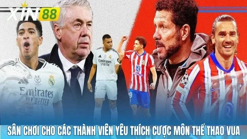 Sân chơi cho các thành viên yêu thích cược môn thể thao vua